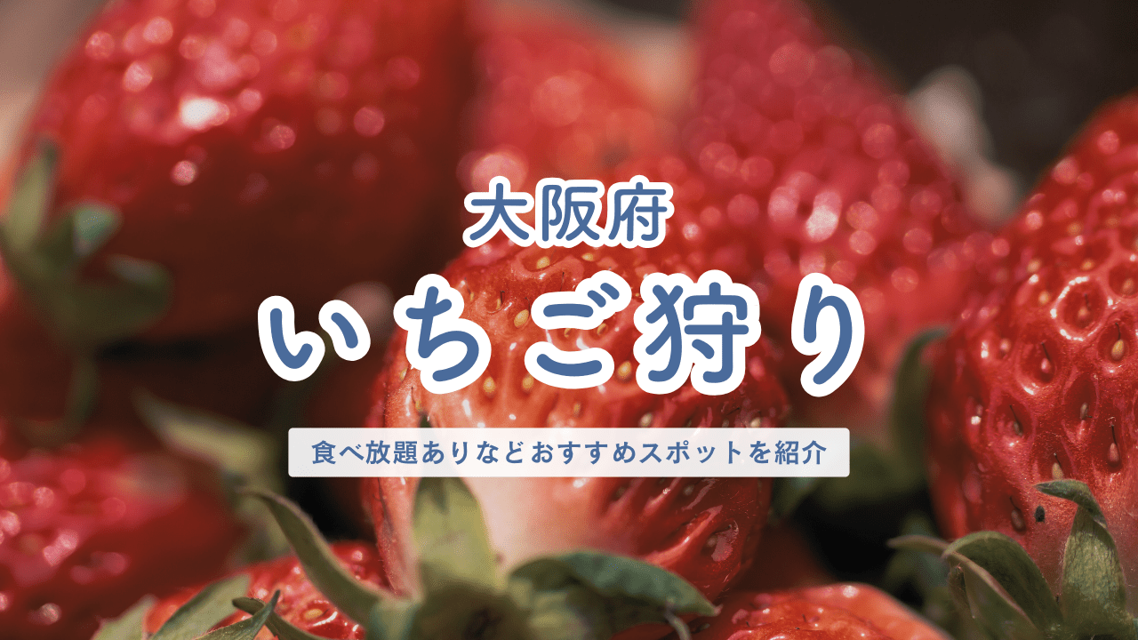 大阪府 いちご狩り