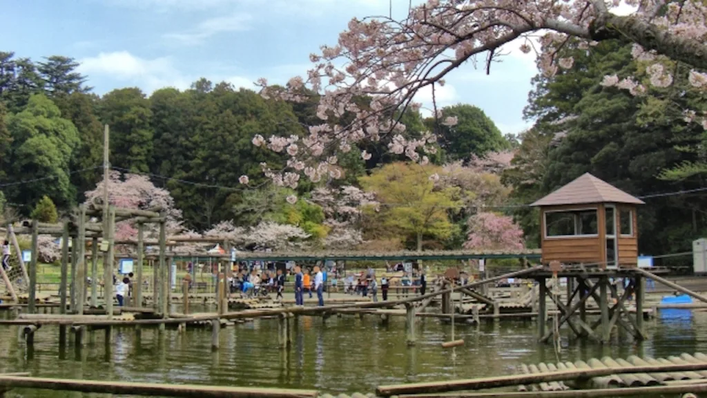 清水公園フィールドアスレチックのウォーターコース