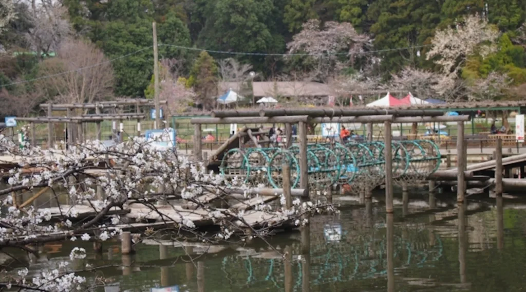 清水公園フィールドアスレチックの水上ネットのコース
