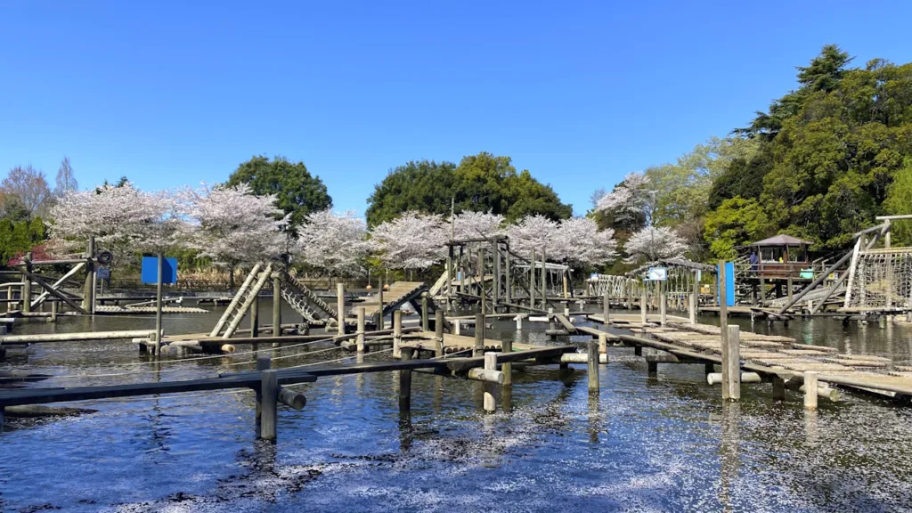 清水公園フィールドアスレチック