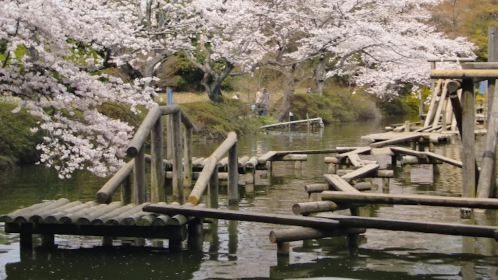 清水公園フィールドアスレチックのウォーターコース