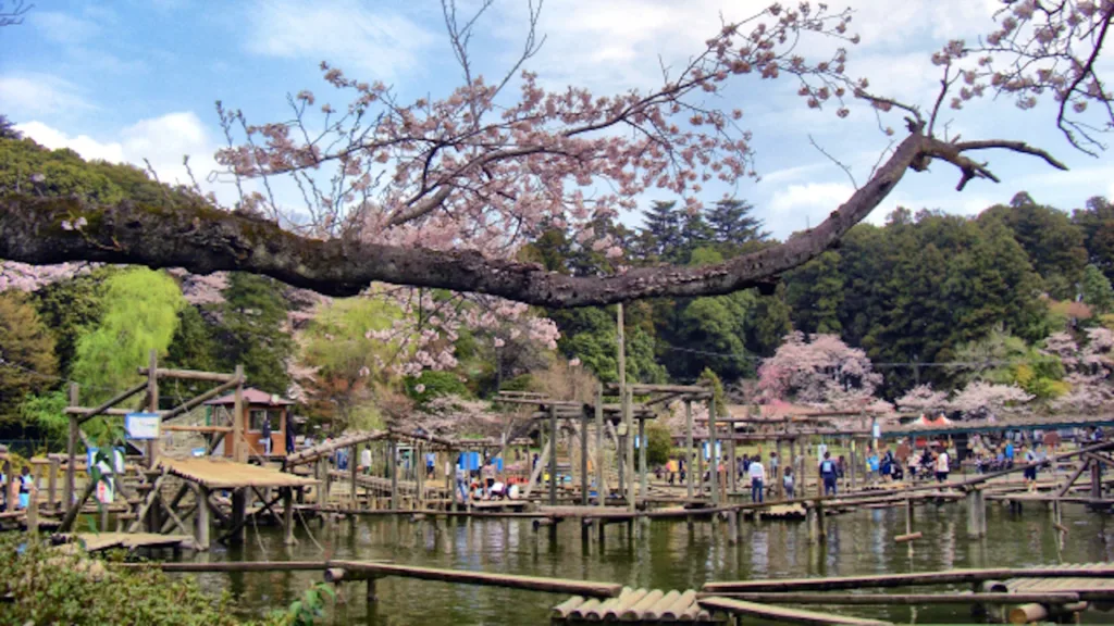 清水公園フィールドアスレチックと桜