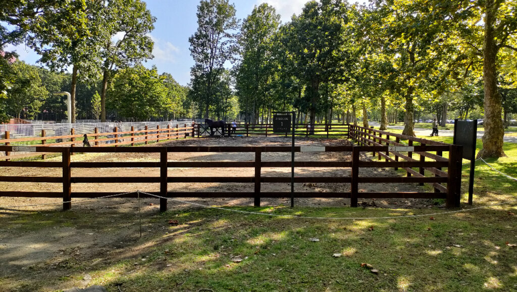 ノーザンホースパークのパドック1