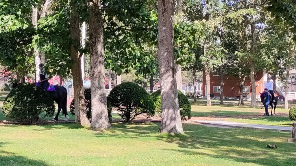 ノーザンホースパークの観光ひき馬の乗馬風景