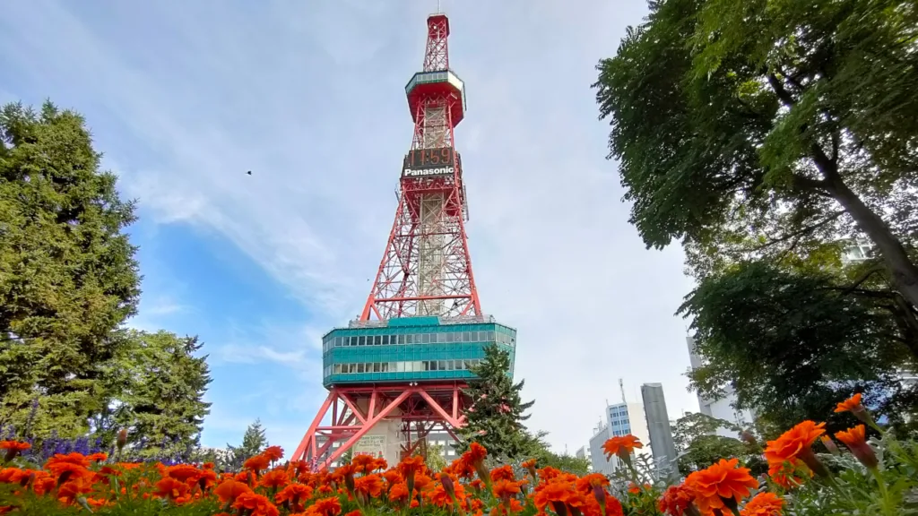 赤い花々とさっぽろテレビ塔