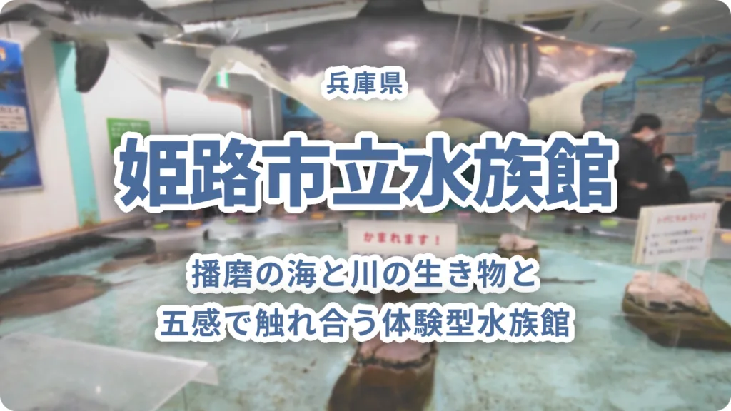 姫路市立水族館「ひめすい」完全ガイド｜播磨の海と川の生き物と五感で触れ合う体験型水族館