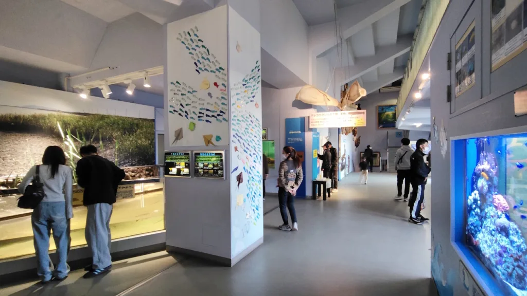 姫路市立水族館「ひめすい」の本館の水槽