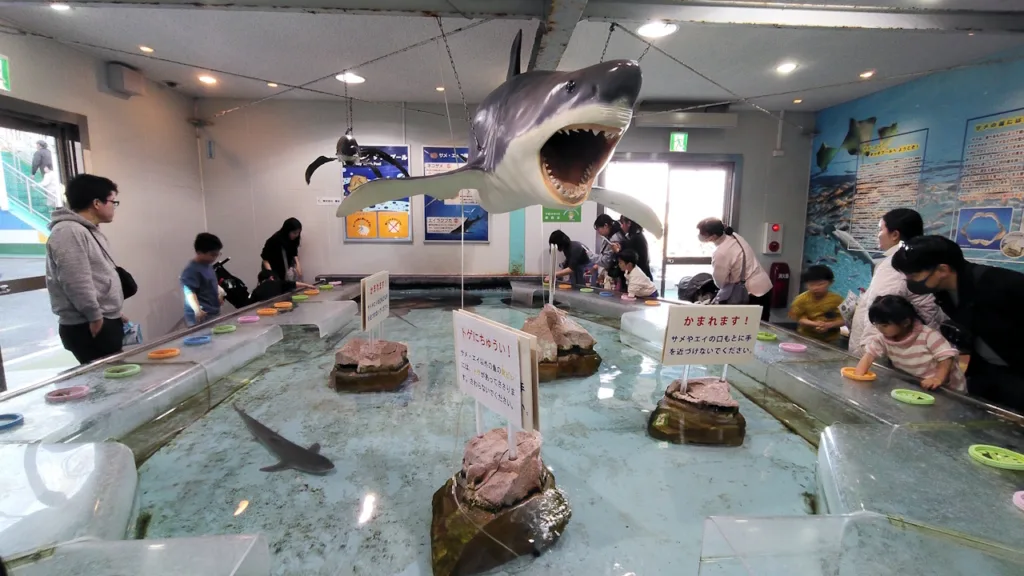 姫路市立水族館「ひめすい」のタッチプール