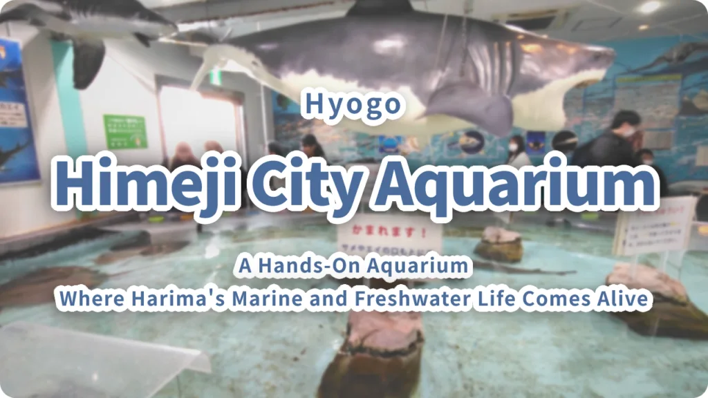 Himeji City Aquarium "Himesui" Complete Guide | A Hands-On Aquarium Where Harima's Marine and Freshwater Life Comes Alive
