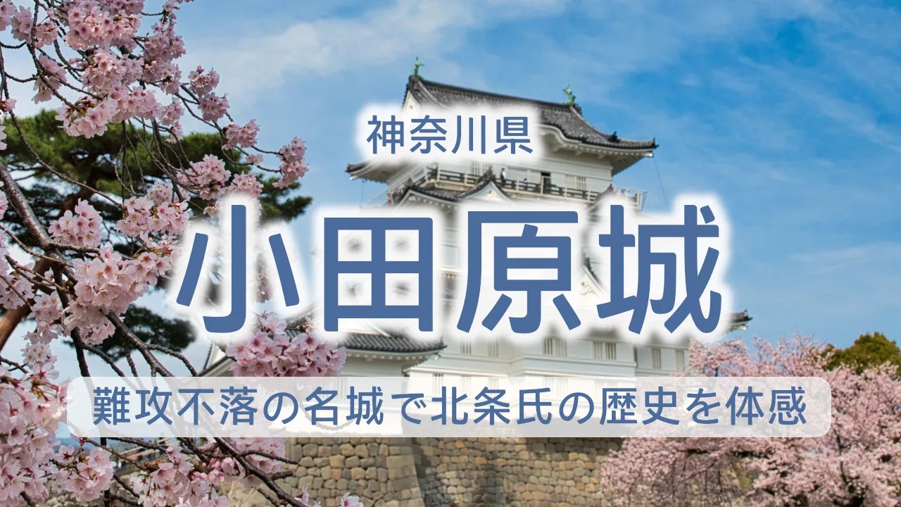 小田原城の入場料と見どころ完全ガイド｜難攻不落の名城で北条氏の歴史を体感