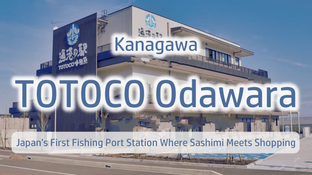TOTOCO Odawara: Japan's First Fishing Port Station Where Sashimi Meets Shopping