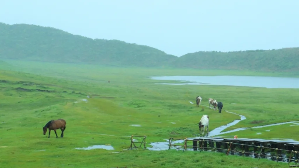 草千里ヶ浜と馬
