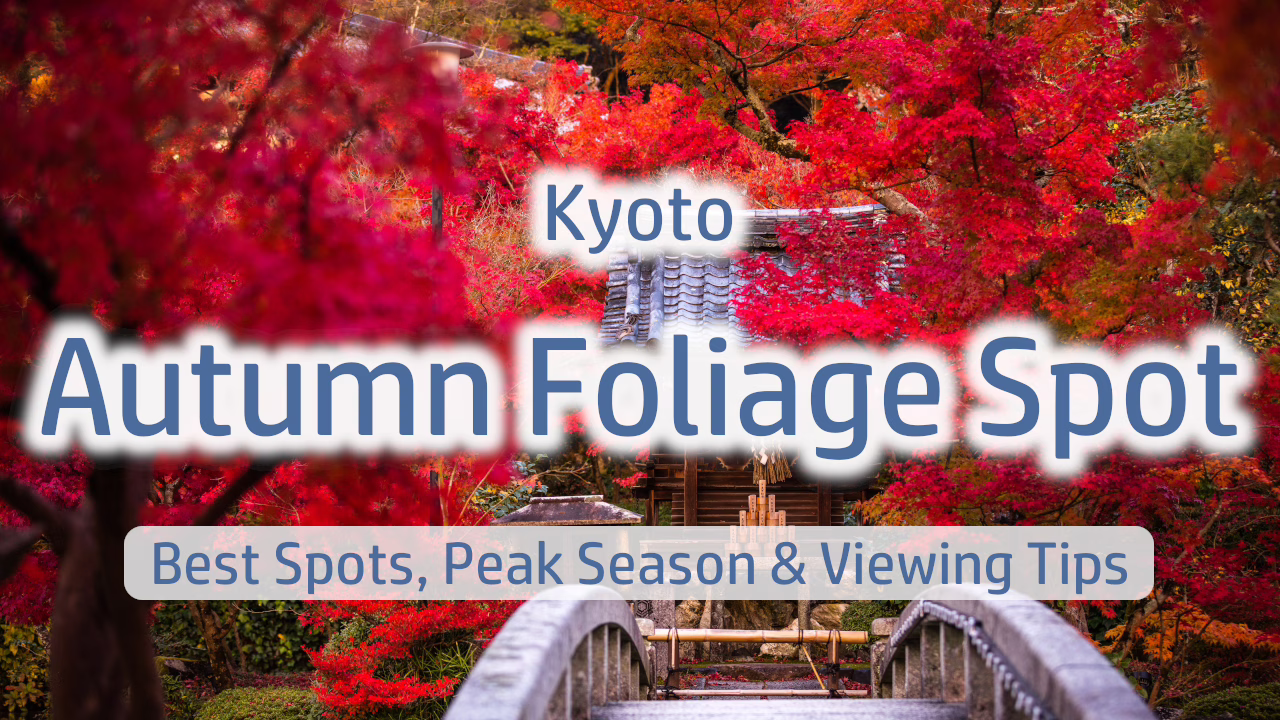 Kyoto Autumn Foliage Spot