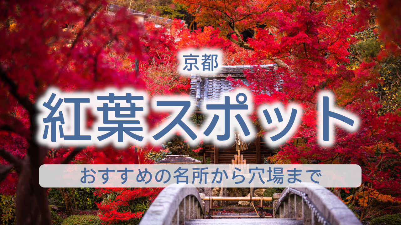 京都 紅葉スポット