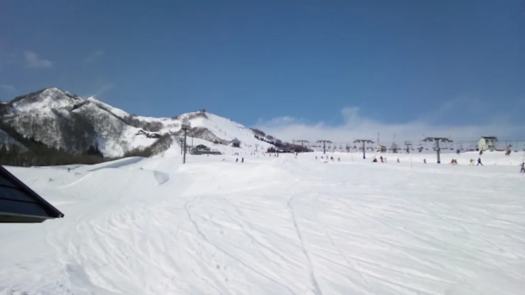 ゲレンデが広い岩原スキー場