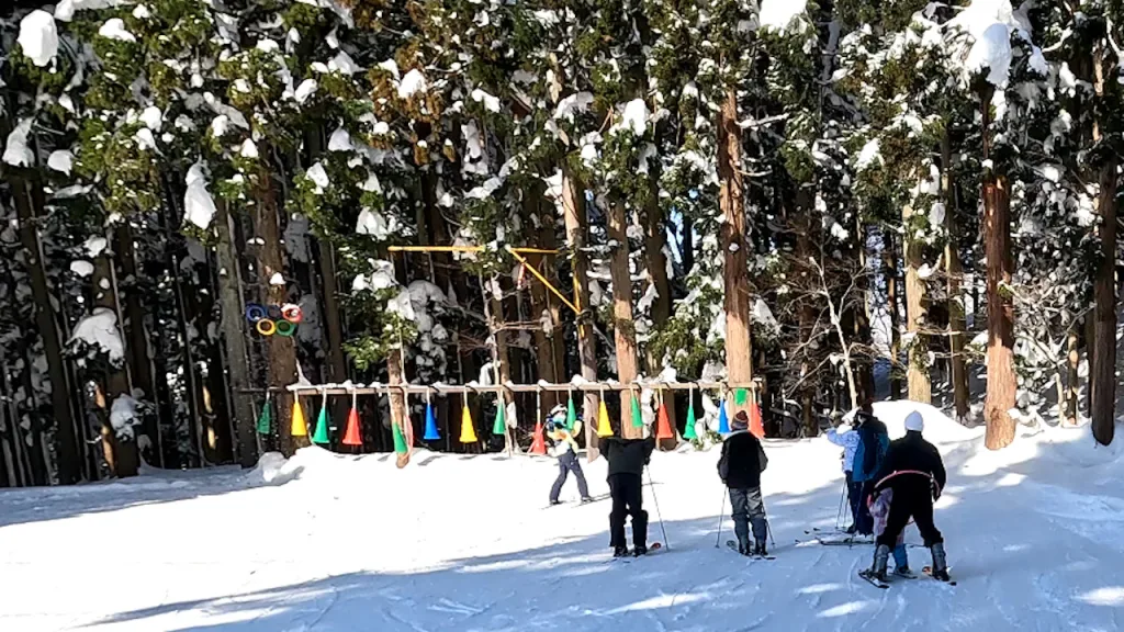 湯沢中里スノーリゾートで行われているスキースクールの様子