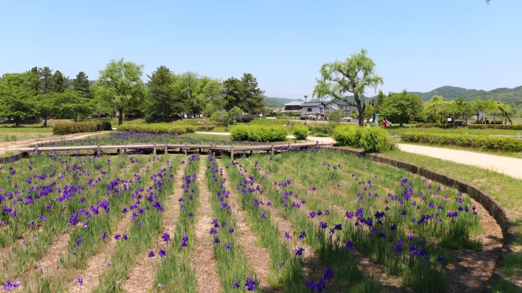 高松城址公園の花畑