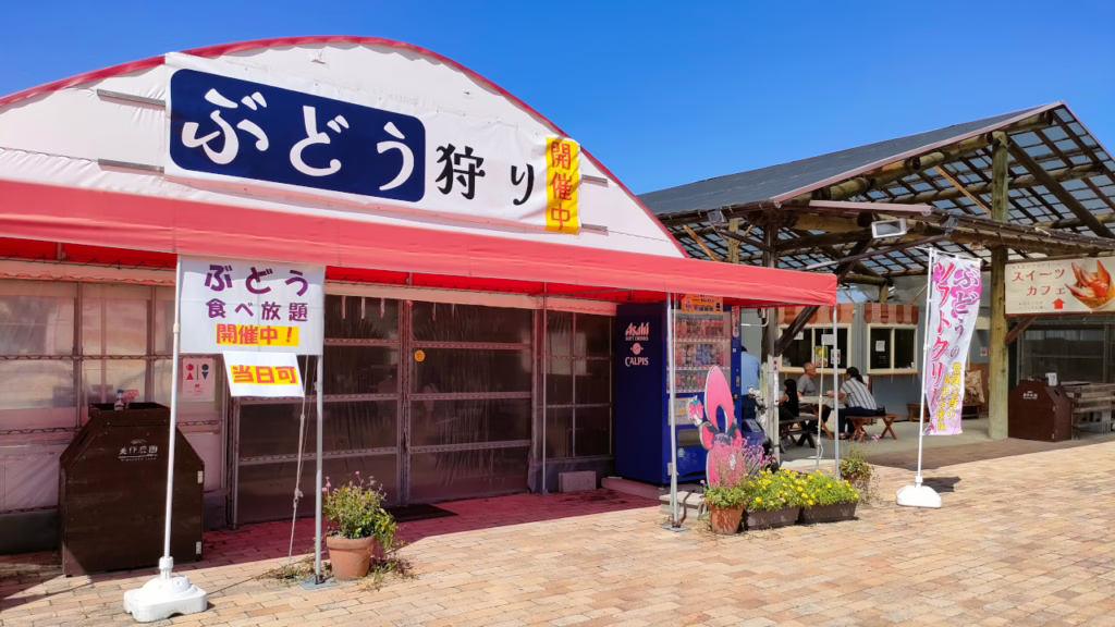 美作農園のぶどう狩りコーナー