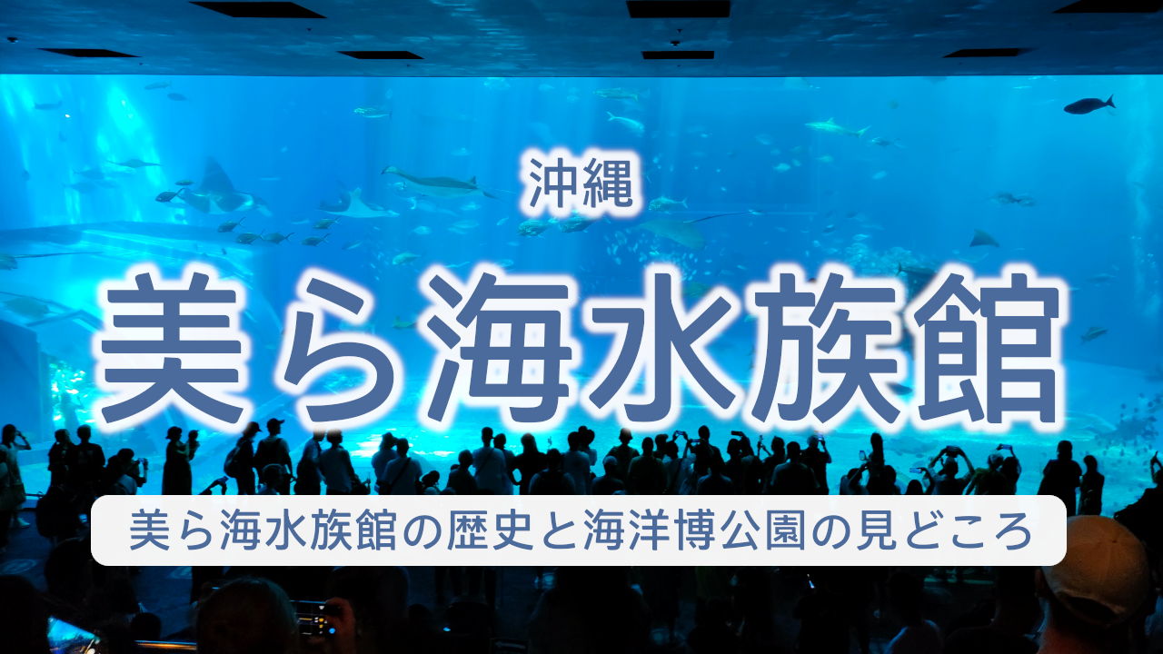沖縄 美ら海水族館