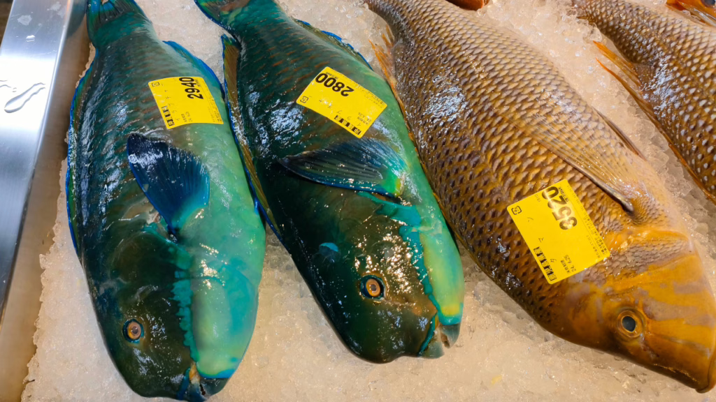 沖縄県 泊いゆまち 青いお魚「イラブチャー」と黄色い「タマン」