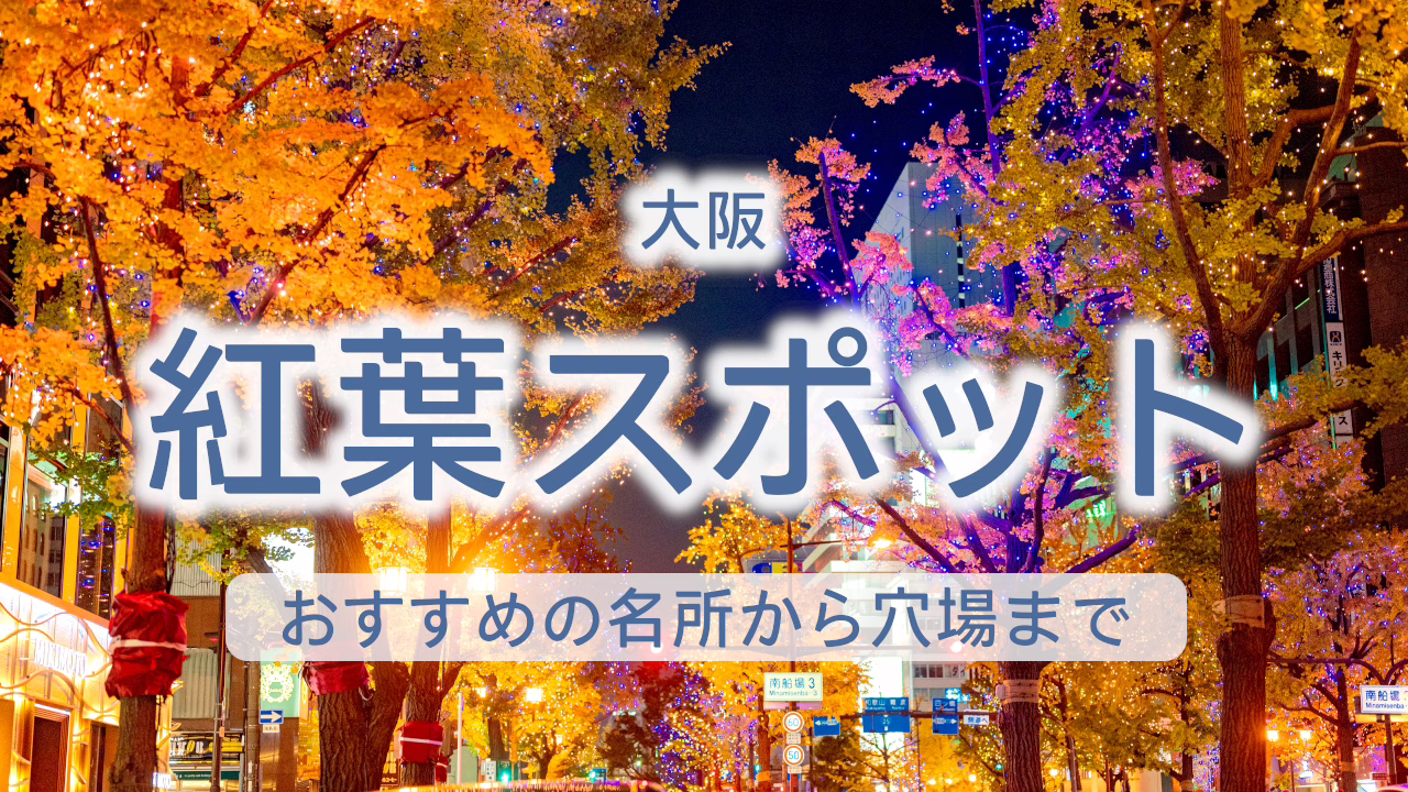 大阪府 紅葉スポット