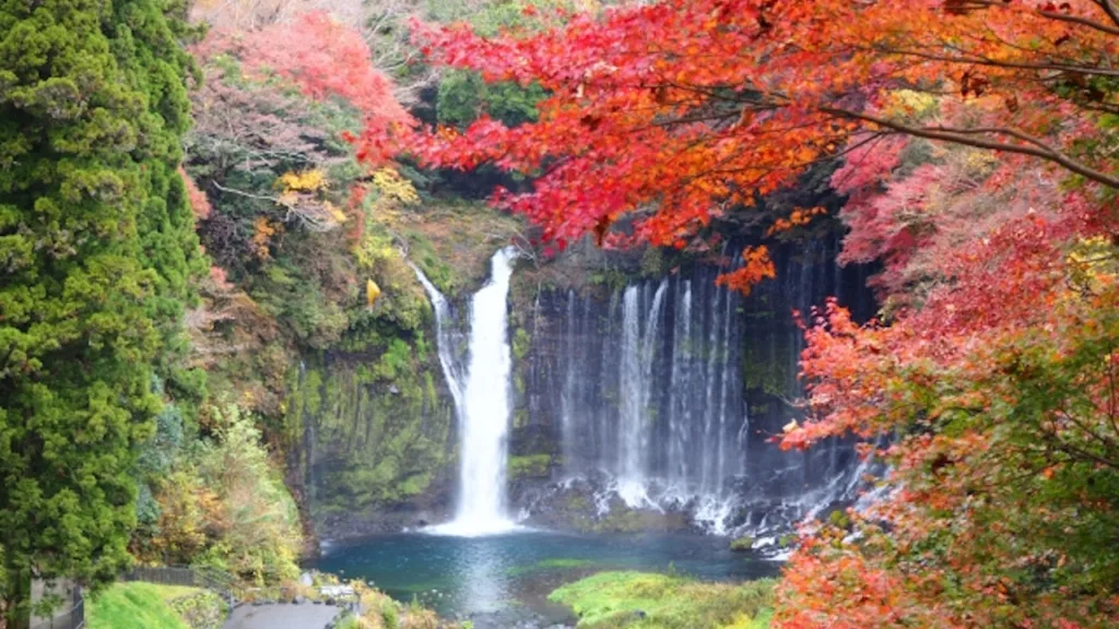 白糸の滝と紅葉