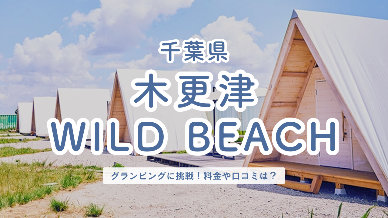 千葉県 木更津 Wild Beach