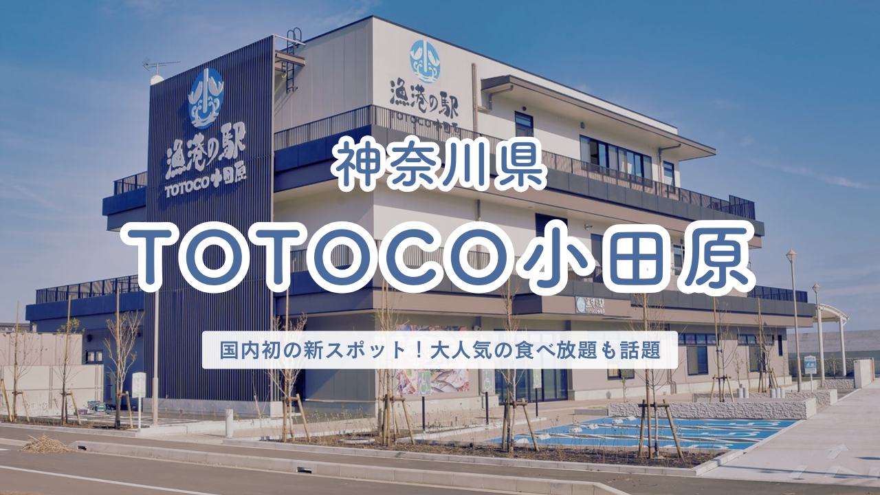 神奈川県 漁港の駅 TOTOCO小田原