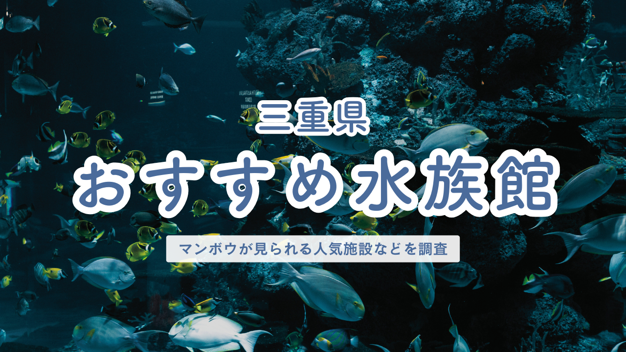 三重県 おすすめ水族館