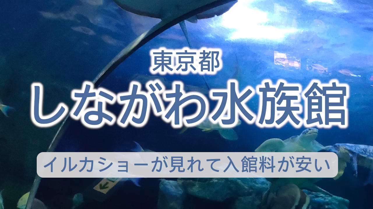 東京都 しながわ水族館