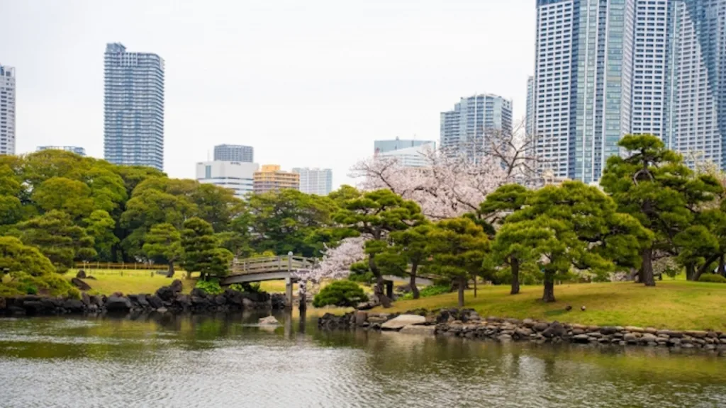 浜離宮恩賜庭園と桜