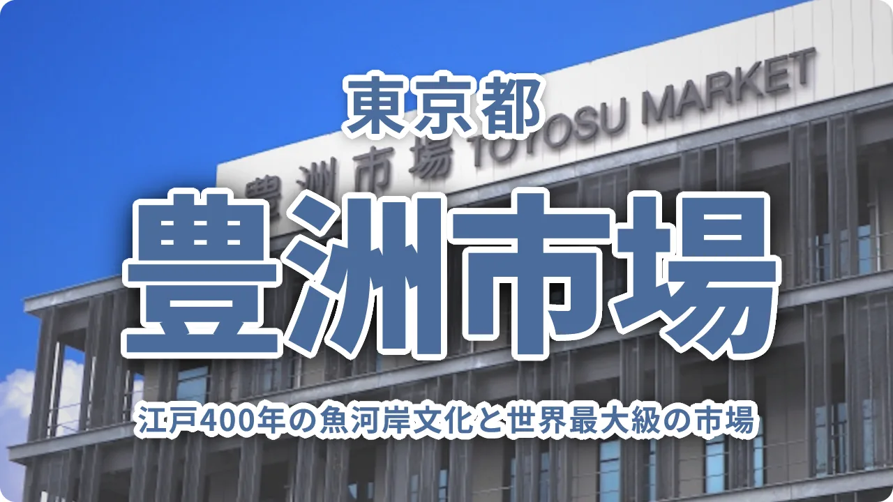 豊洲市場を徹底解説｜江戸400年の魚河岸文化と世界最大級の市場を体感する