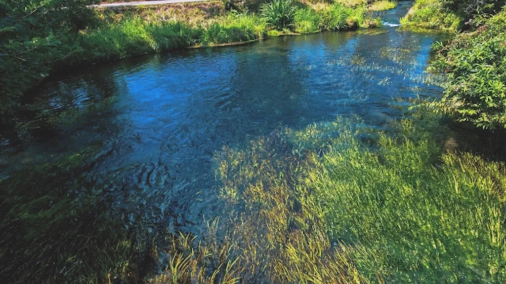 忍野八海の六番霊場「濁池」