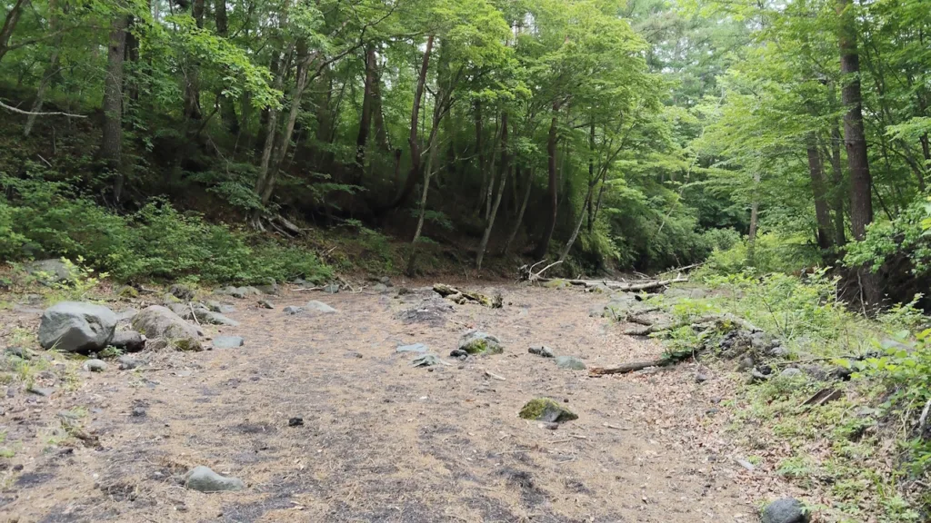 樹海の中の溶岩流跡