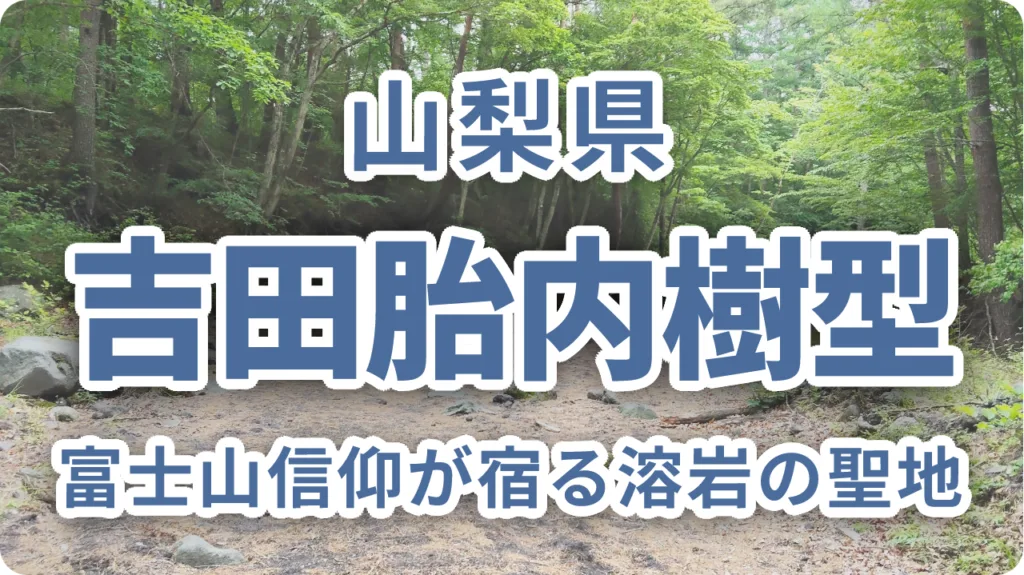 吉田胎内樹型｜富士山信仰が宿る溶岩の聖地