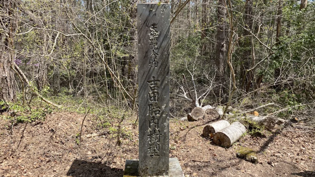 吉田胎内樹型の石碑